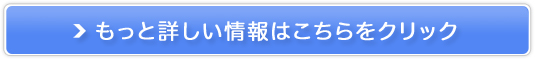 oCINjbNE̔TCg